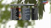 Формула 1 - 2011 - Этап 11 - гран-при Венгрия